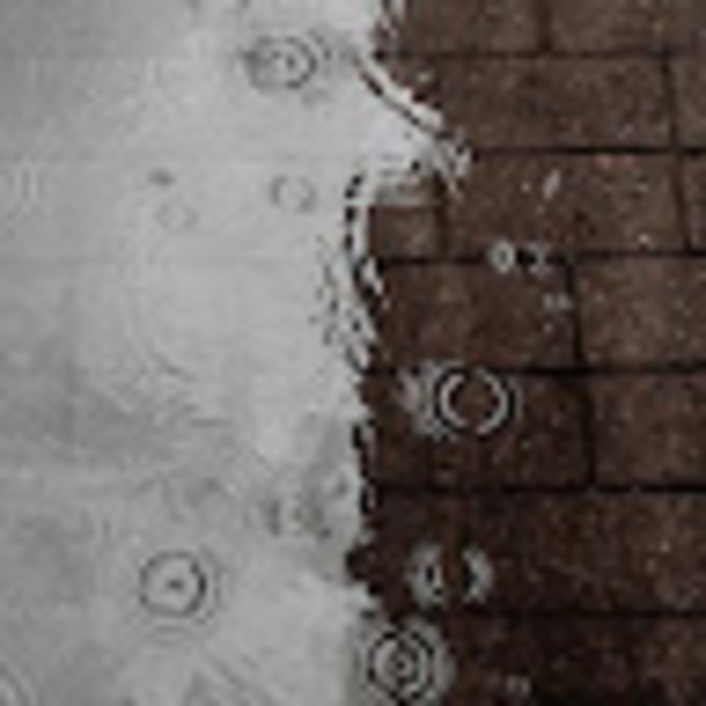 Meet your Posher, Isabella